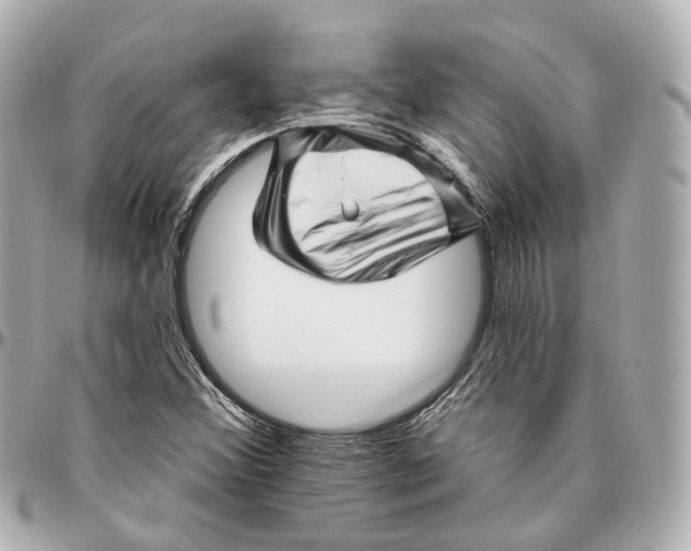 X0000095921356200802011203