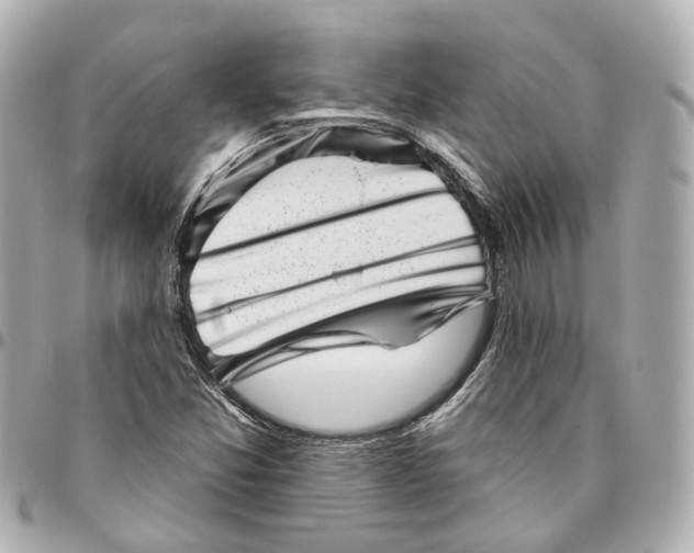 X0000095921357200802011203