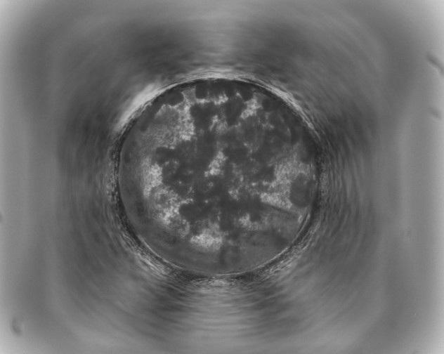 X0000095921359200802011203