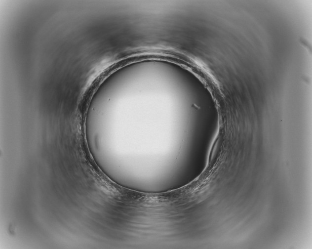 X0000095921360200802011203