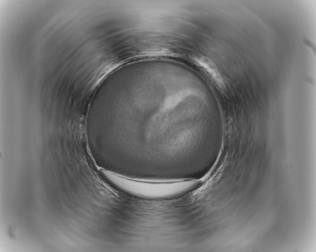 X0000095921361200802011203