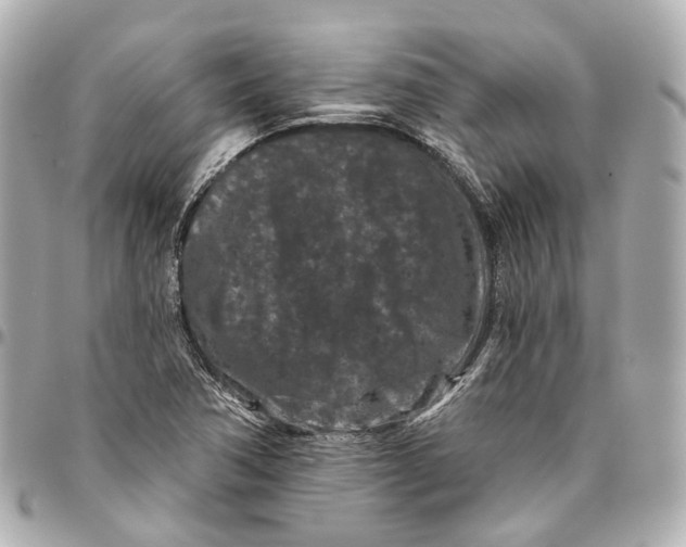 X0000095921362200802011203