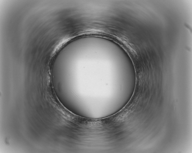 X0000095921363200802011203