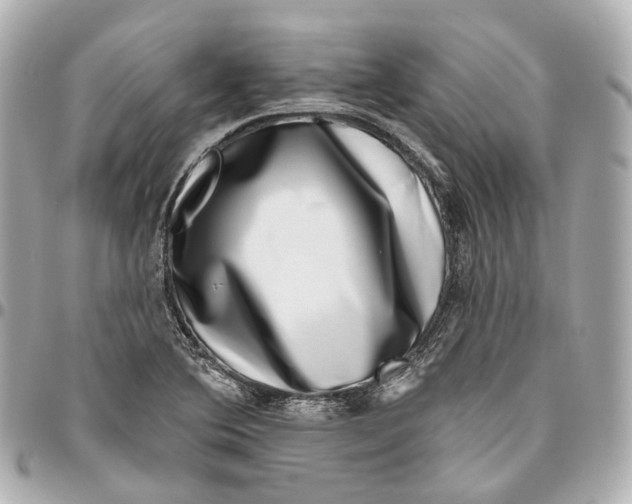 X0000095921364200802011203