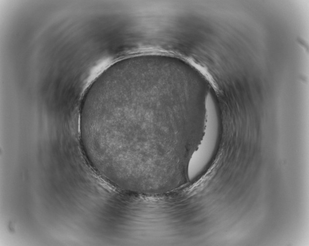 X0000095921365200802011203