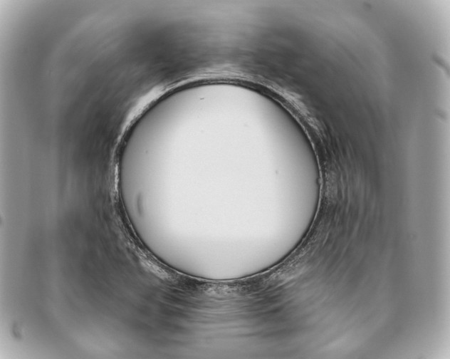 X0000095921366200802011203