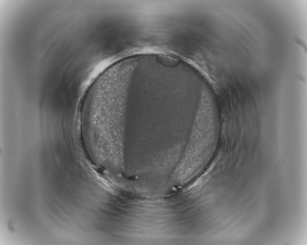 X0000095921367200802011203