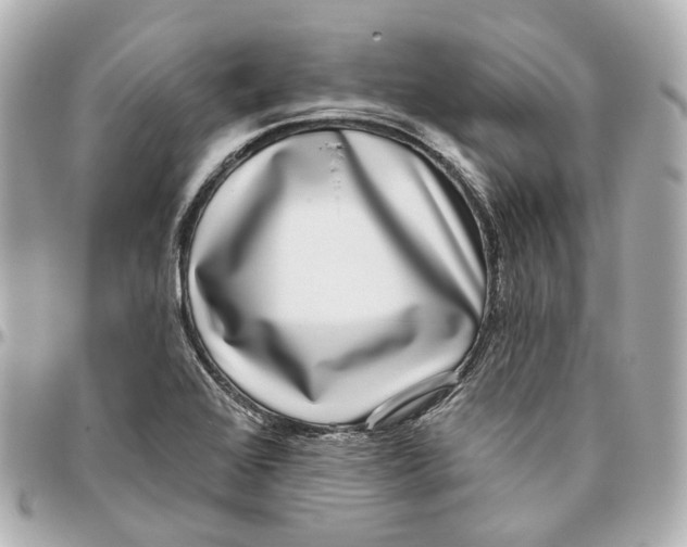 X0000095921368200802011203