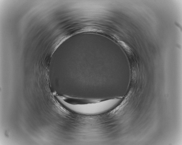 X0000095921369200802011203