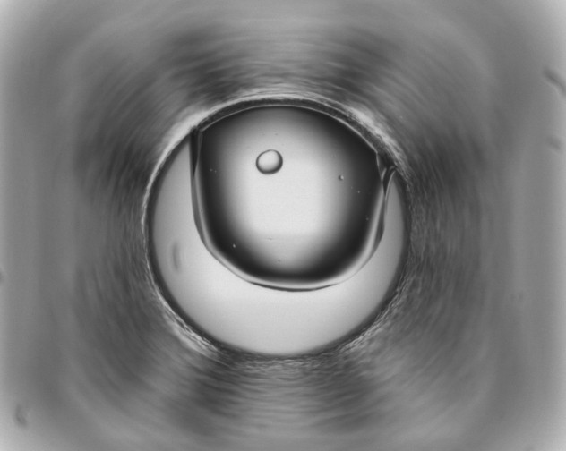 X0000095921372200802011203