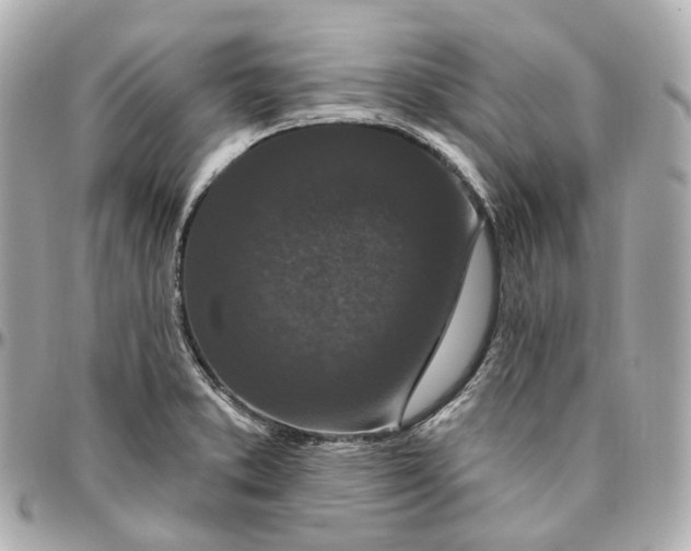 X0000095921373200802011203