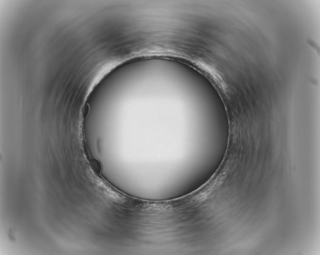 X0000095921374200802011203