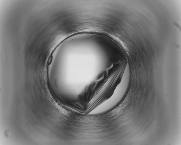 X0000095921375200802011203