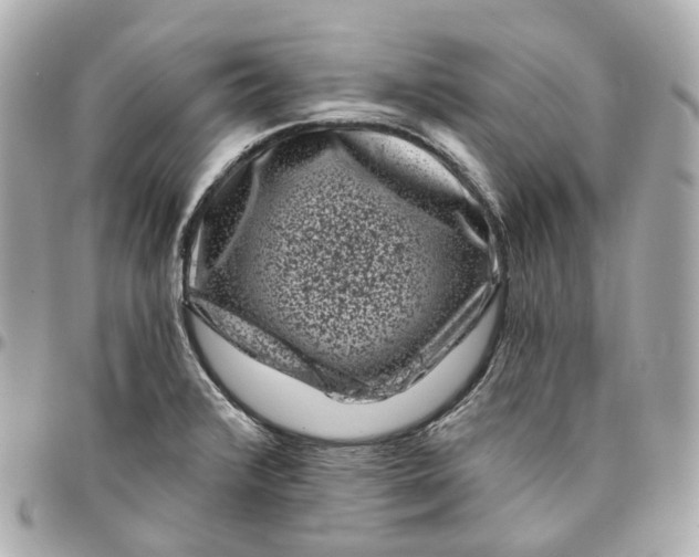 X0000095921376200802011203