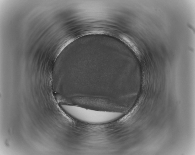 X0000095921377200802011203