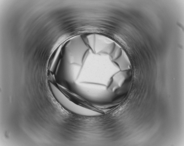 X0000095921378200802011203