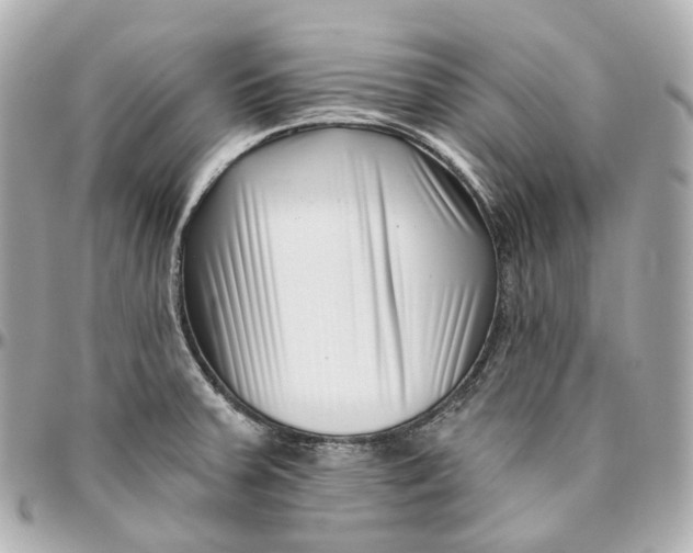 X0000095921379200802011203