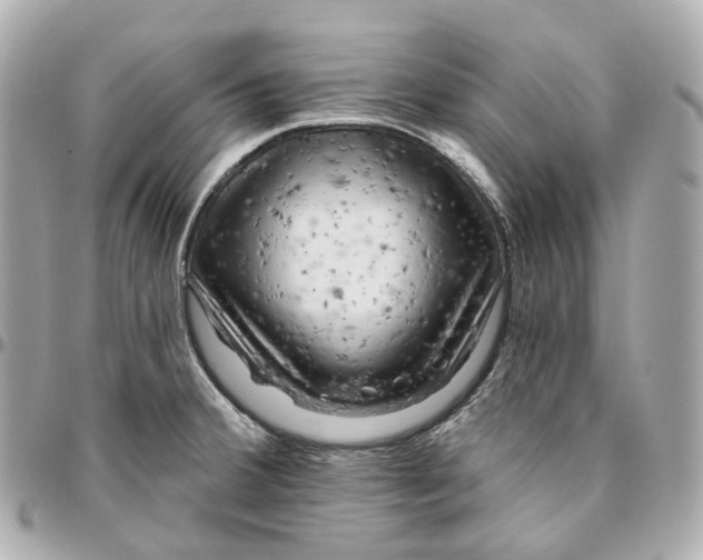 X0000095921380200802011203