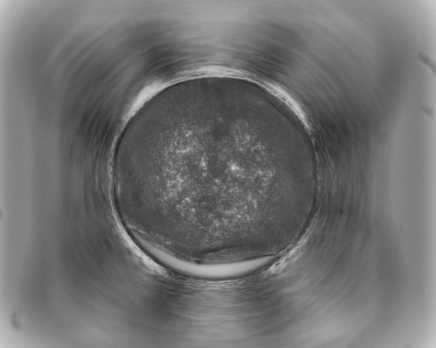 X0000095921381200802011203