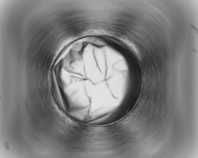 X0000095921382200802011203