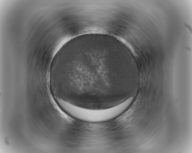 X0000095921383200802011203