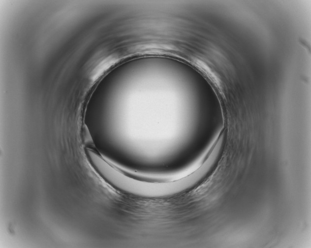 X0000095921384200802011203