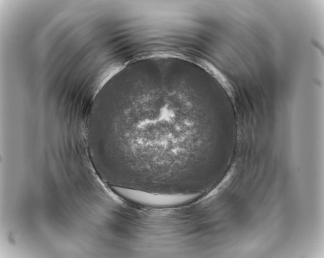 X0000095921385200802011203