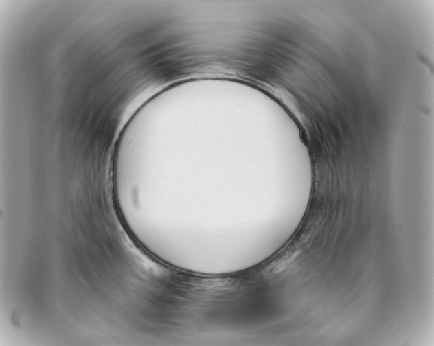 X0000095921387200802011203