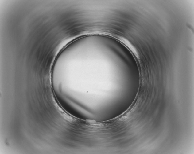 X0000095921388200802011203