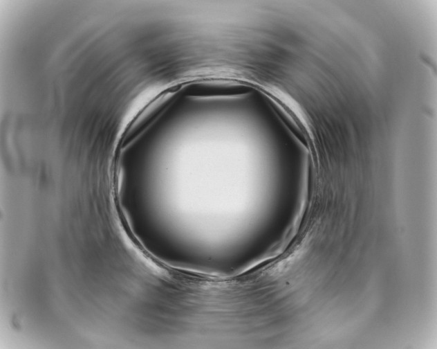 X0000095921389200802011203