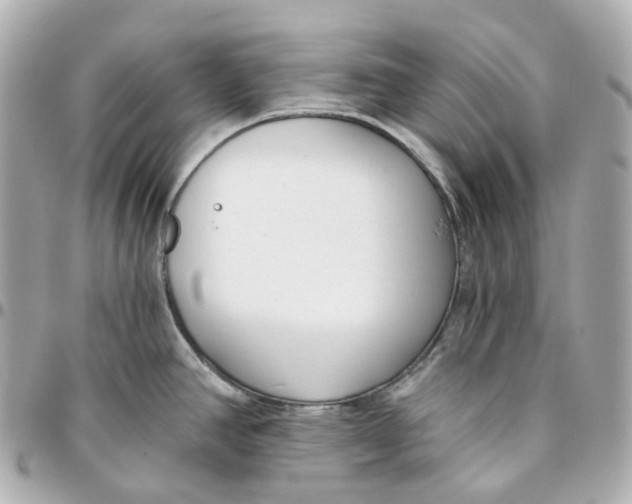 X0000095921390200802011203