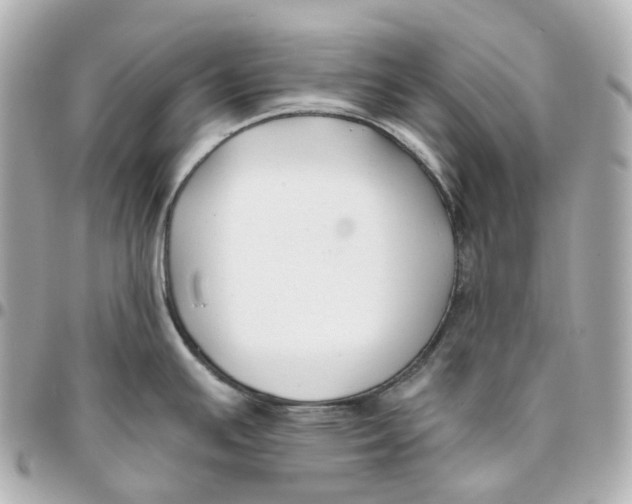 X0000095921391200802011203