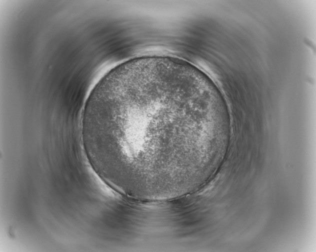 X0000095921392200802011203