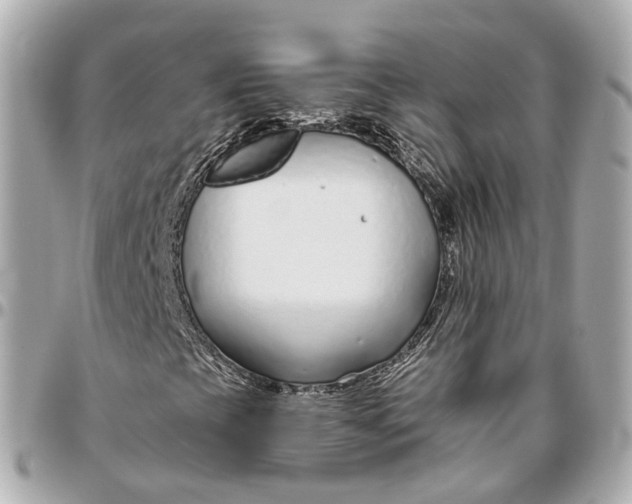 X0000095921393200802011202