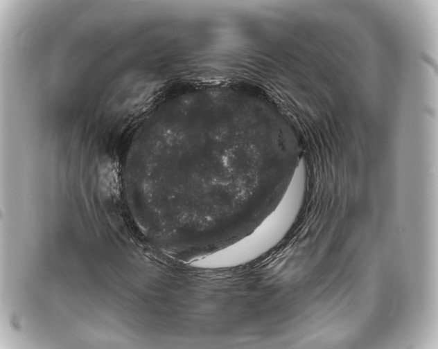 X0000095921394200802011202