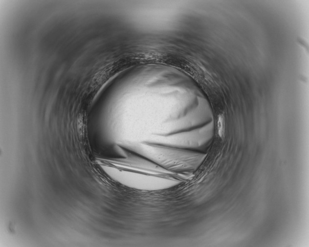 X0000095921395200802011202