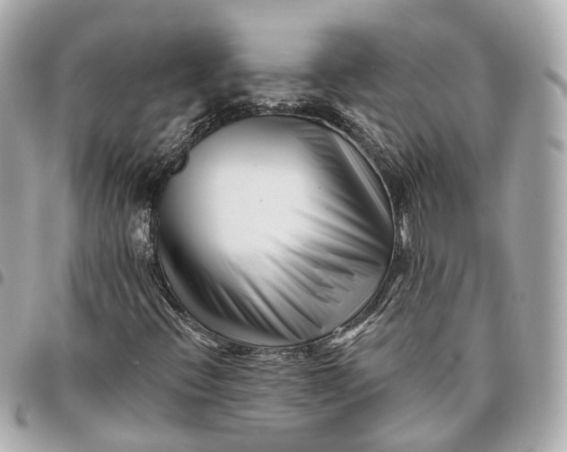 X0000095921396200802011202