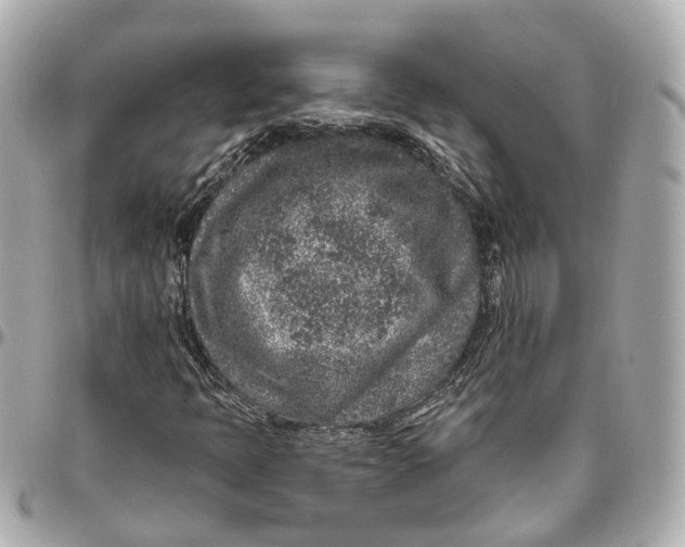 X0000095921397200802011202