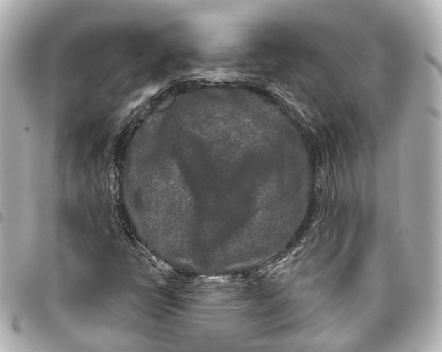 X0000095921398200802011202