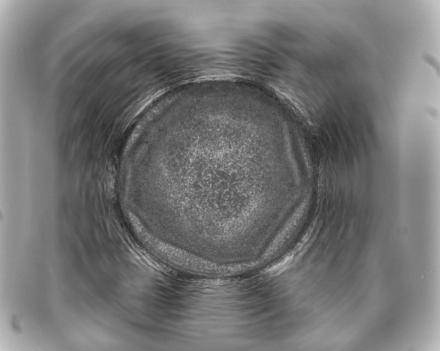 X0000095921401200802011202