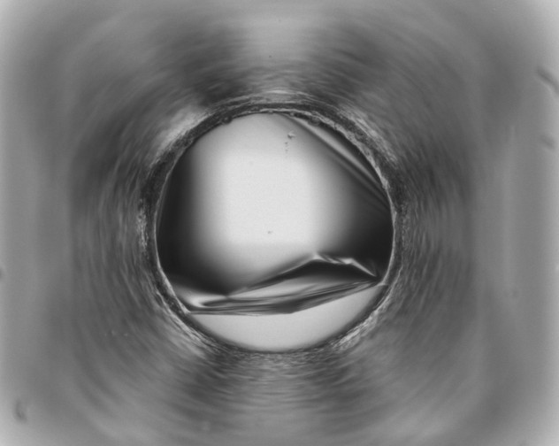 X0000095921402200802011202