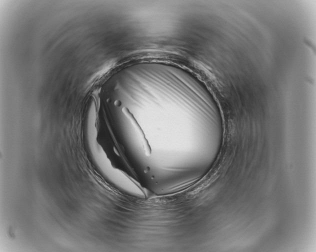 X0000095921403200802011202