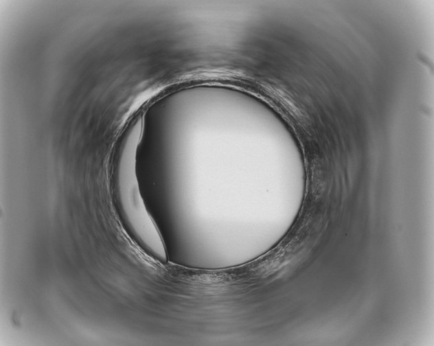 X0000095921404200802011202