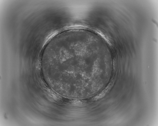 X0000095921405200802011202