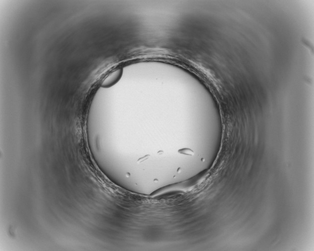 X0000095921407200802011202