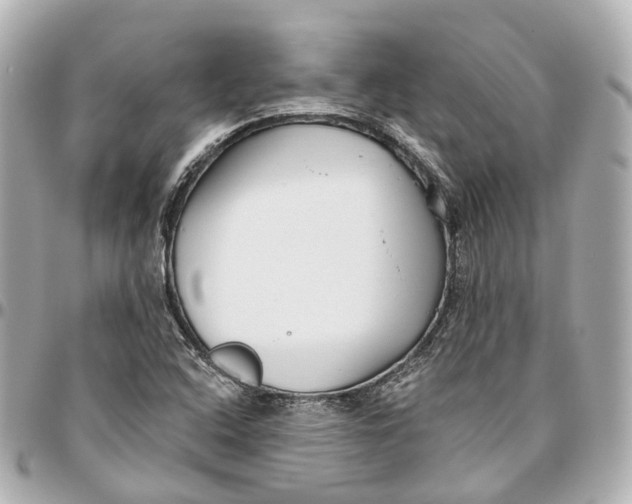 X0000095921408200802011202