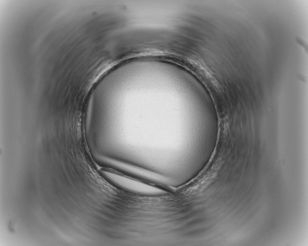 X0000095921409200802011202