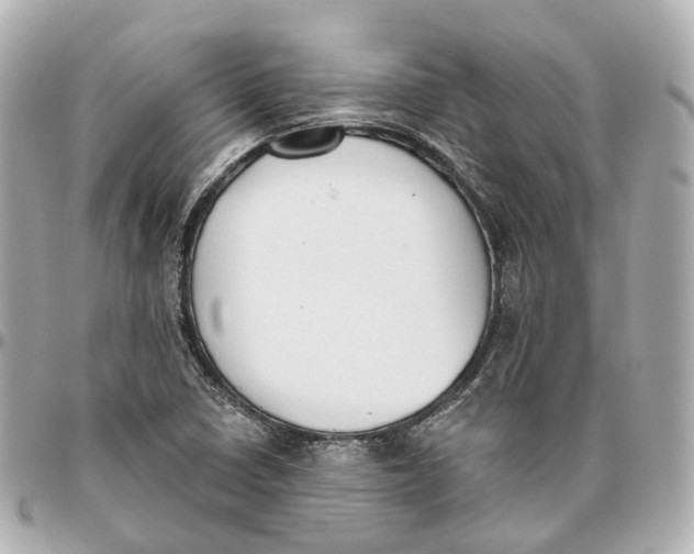 X0000095921410200802011202