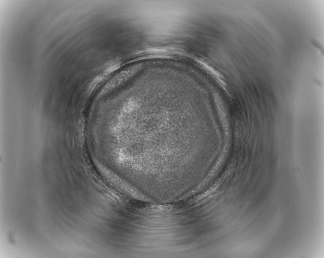 X0000095921411200802011203