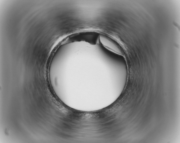 X0000095921412200802011203